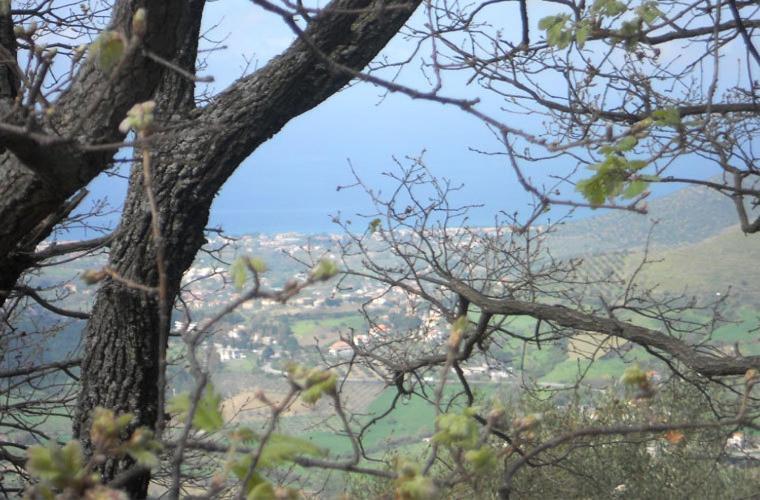 Casale Il Gheppio Guest House Laureana Cilento Exterior photo